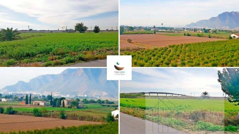 For sale of rural property in Callosa de Segura