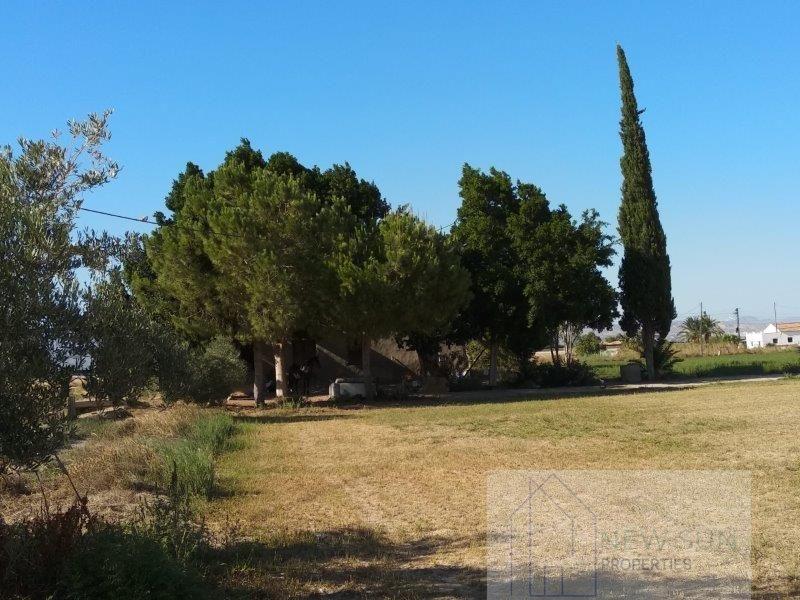 For sale of rural property in Callosa de Segura
