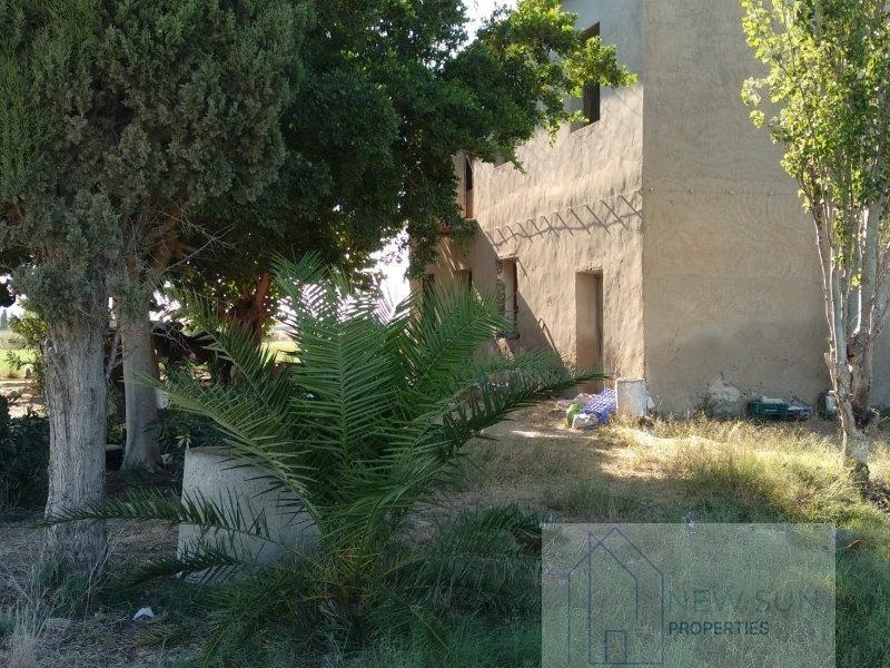 For sale of rural property in Callosa de Segura