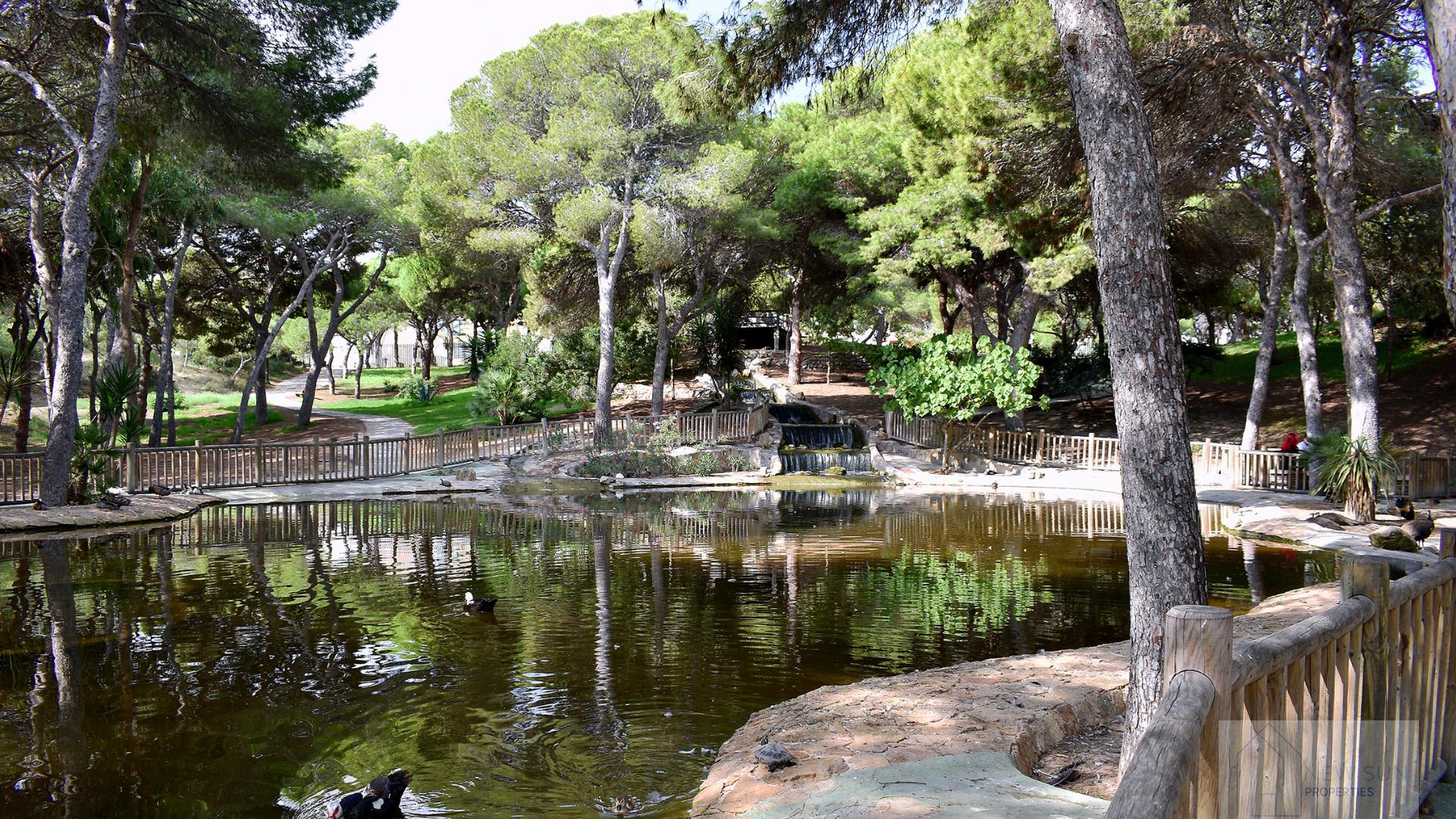 For sale of land in Guardamar del Segura