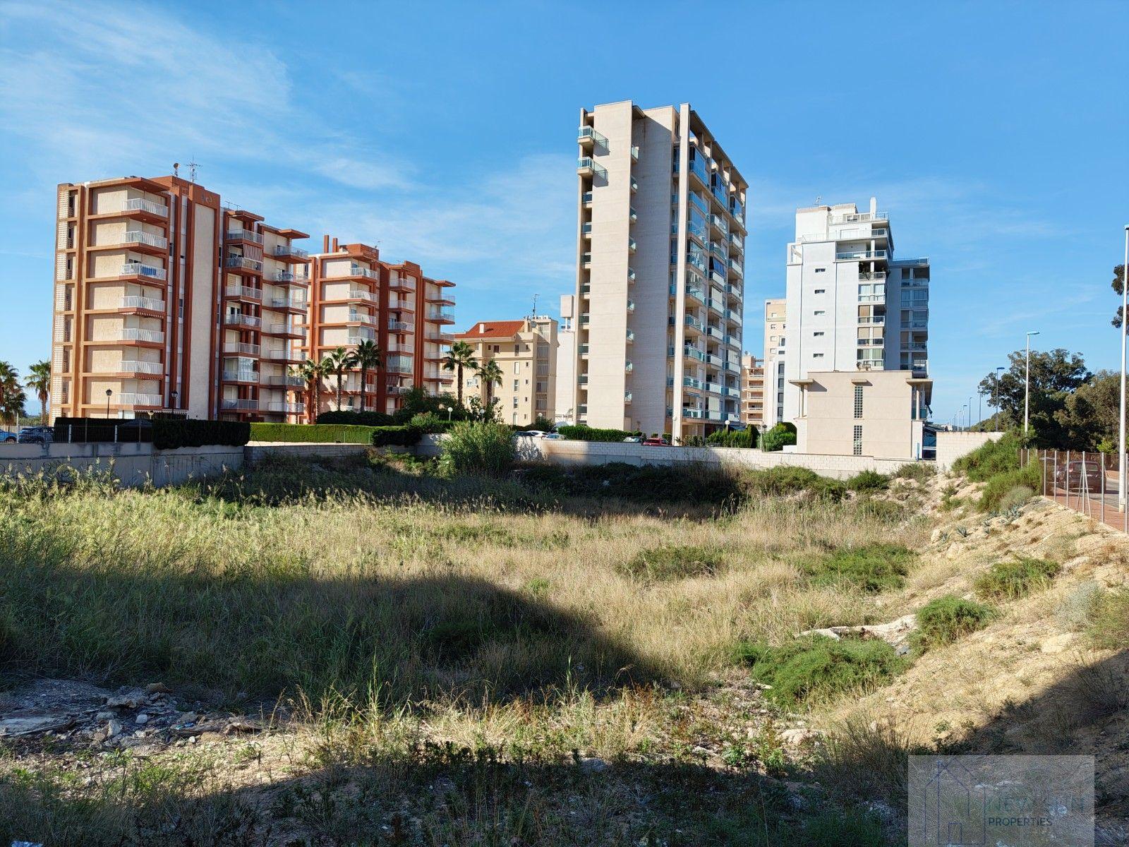 For sale of land in Guardamar del Segura