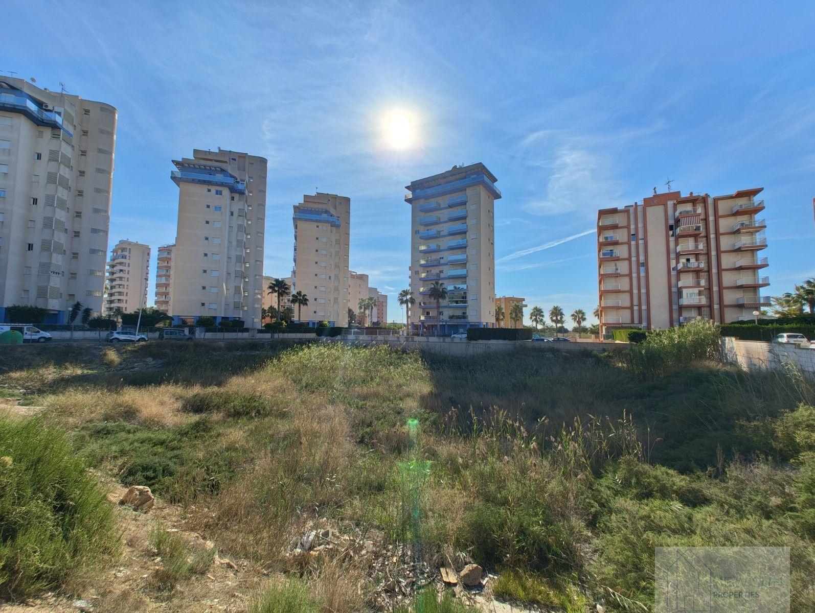 For sale of land in Guardamar del Segura