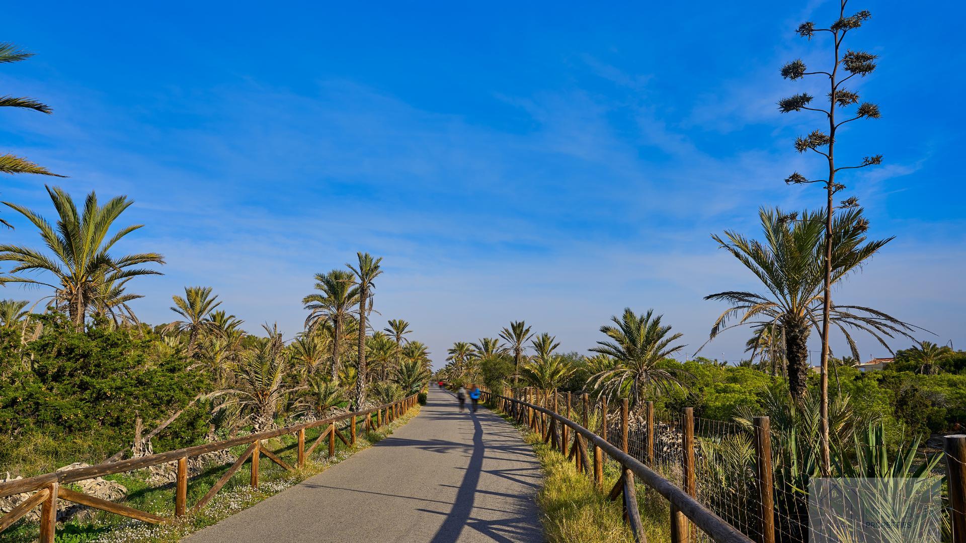 For sale of land in Guardamar del Segura