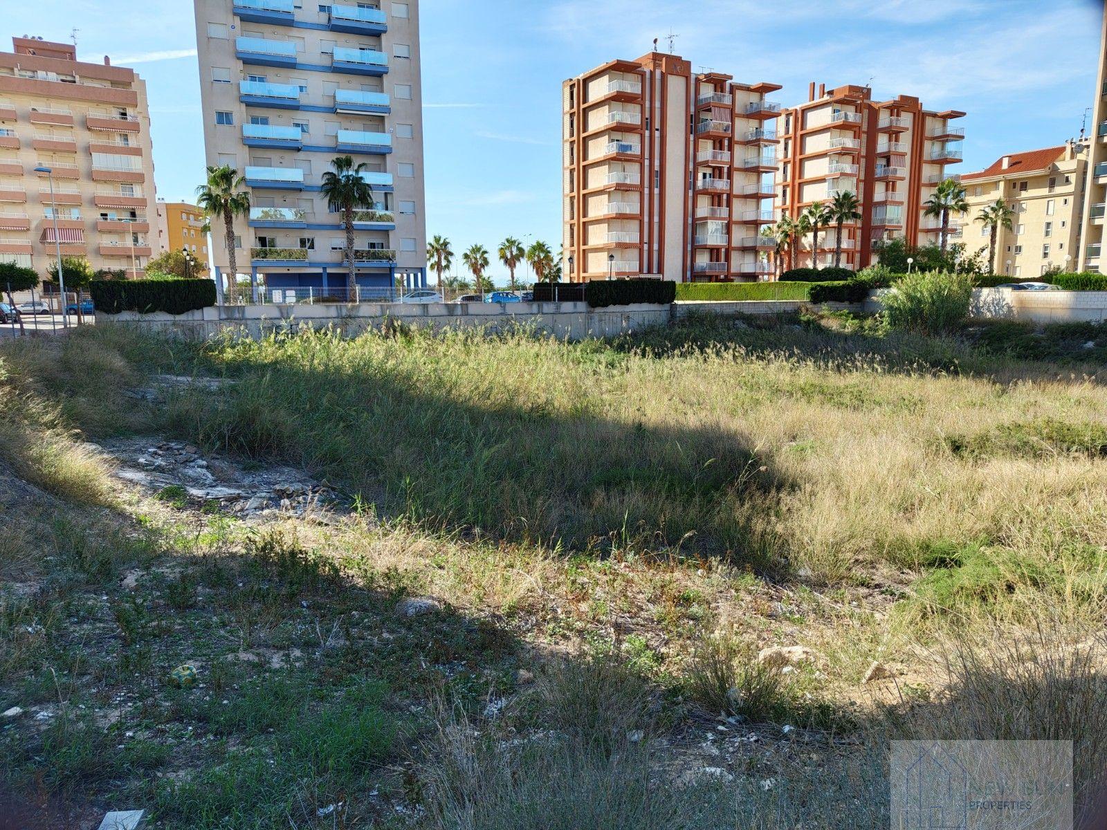 For sale of land in Guardamar del Segura