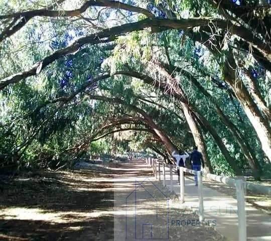 For sale of bungalow in Torrevieja