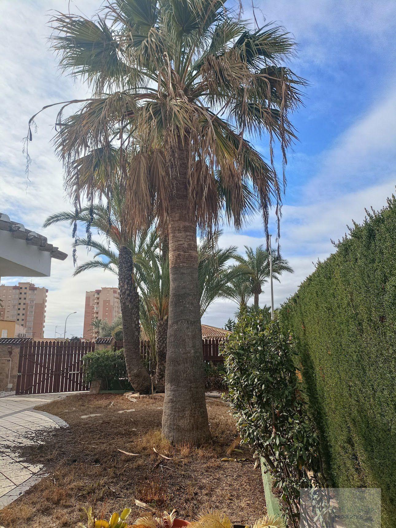 For sale of villa in Orihuela Costa