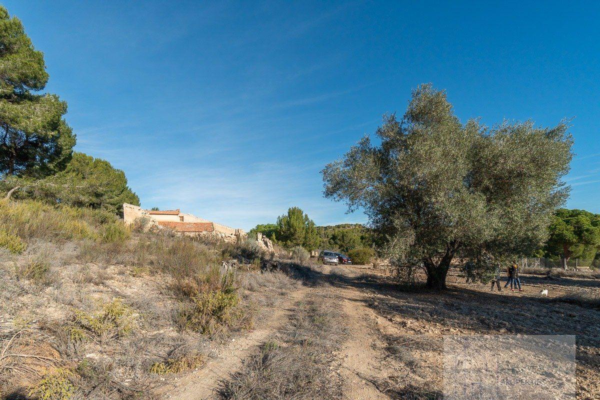 Venta de piso en Pilar de la Horadada