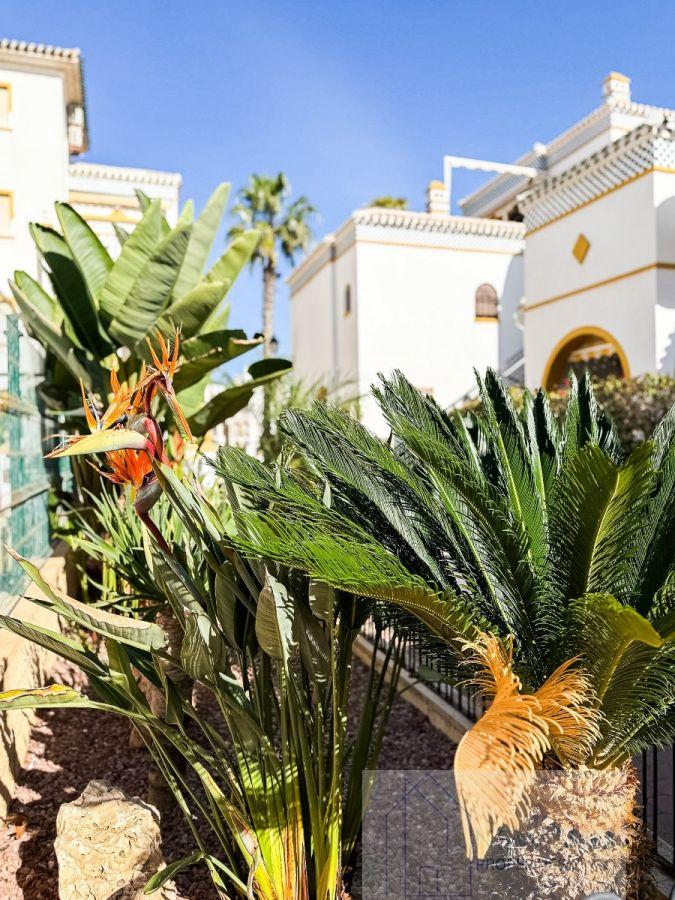 For sale of penthouse in Torrevieja