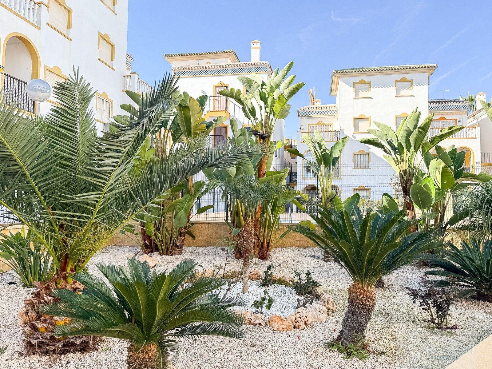 For sale of penthouse in Torrevieja