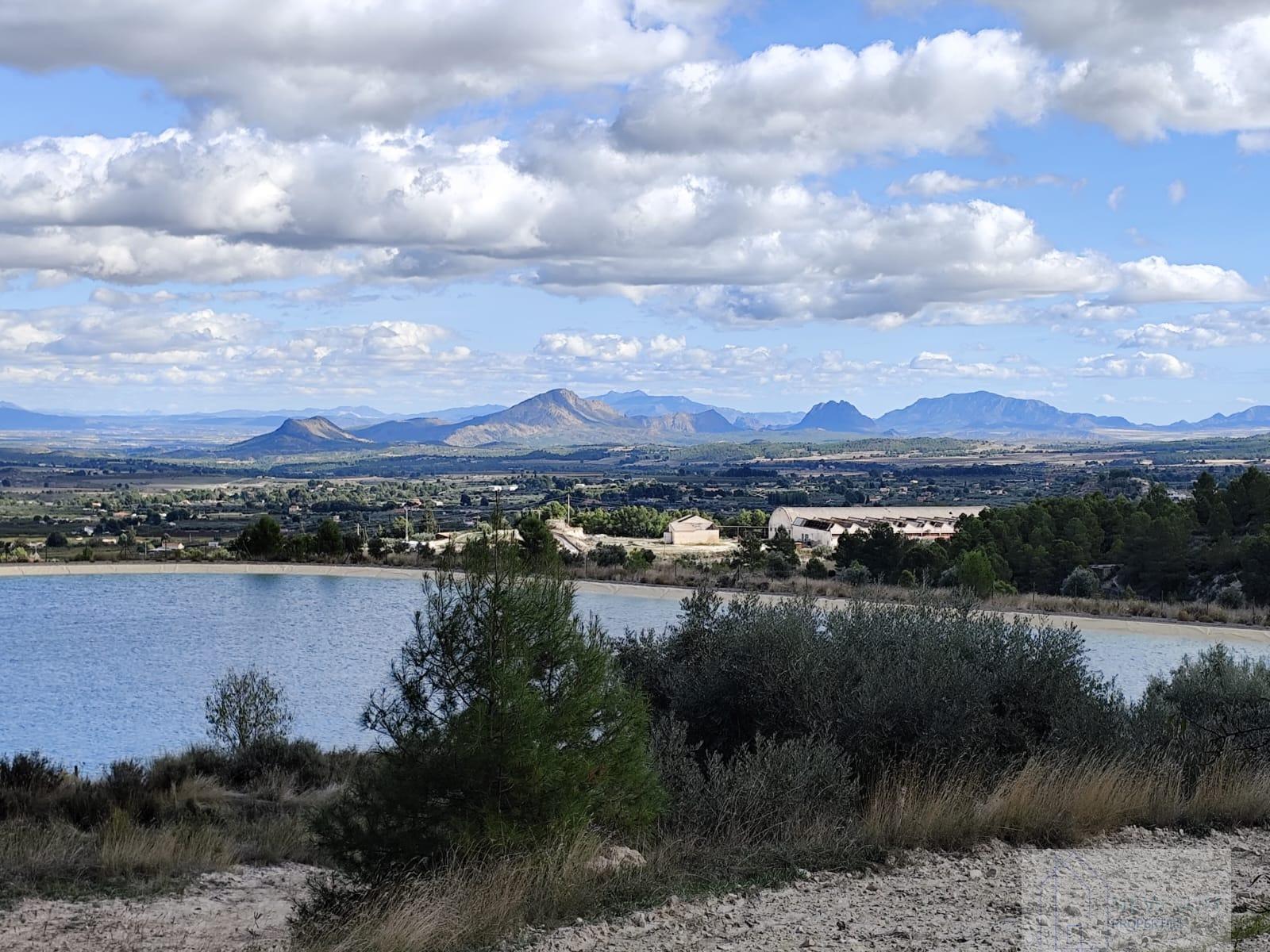 For sale of land in Moratalla