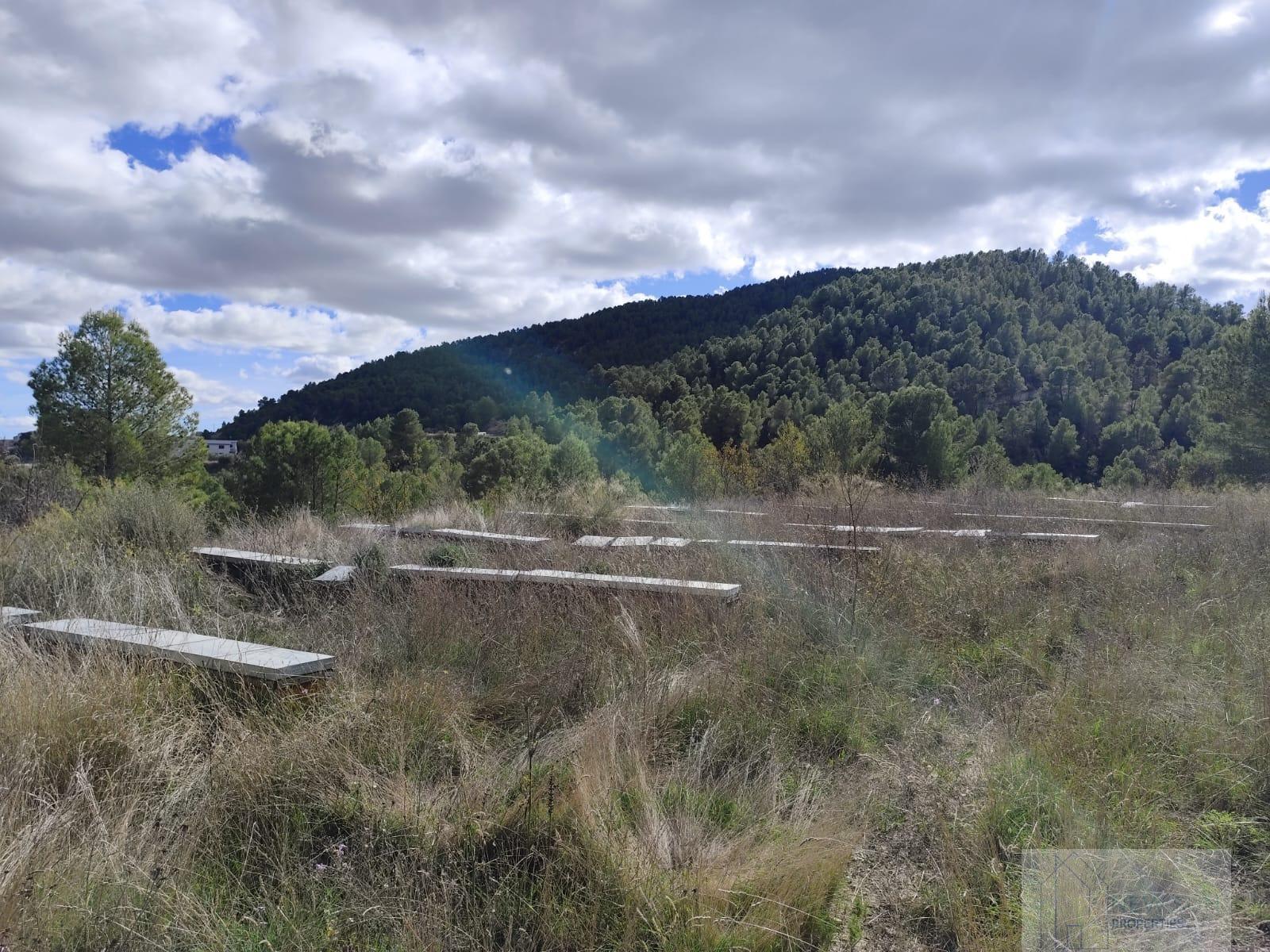 For sale of land in Moratalla