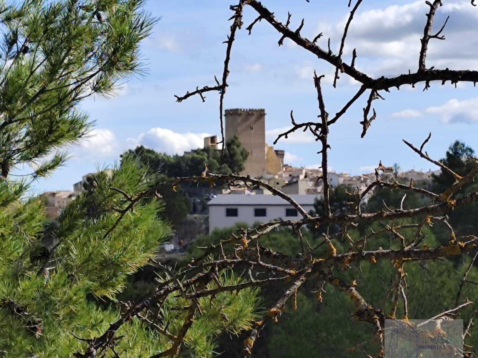 For sale of land in Moratalla