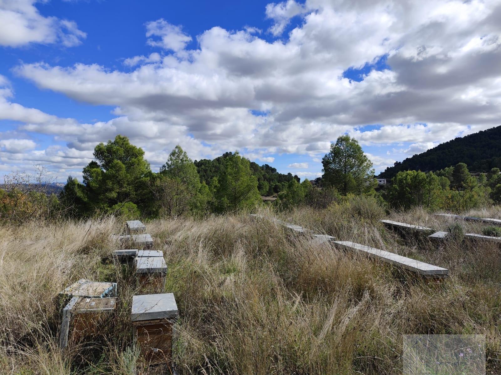 For sale of land in Moratalla