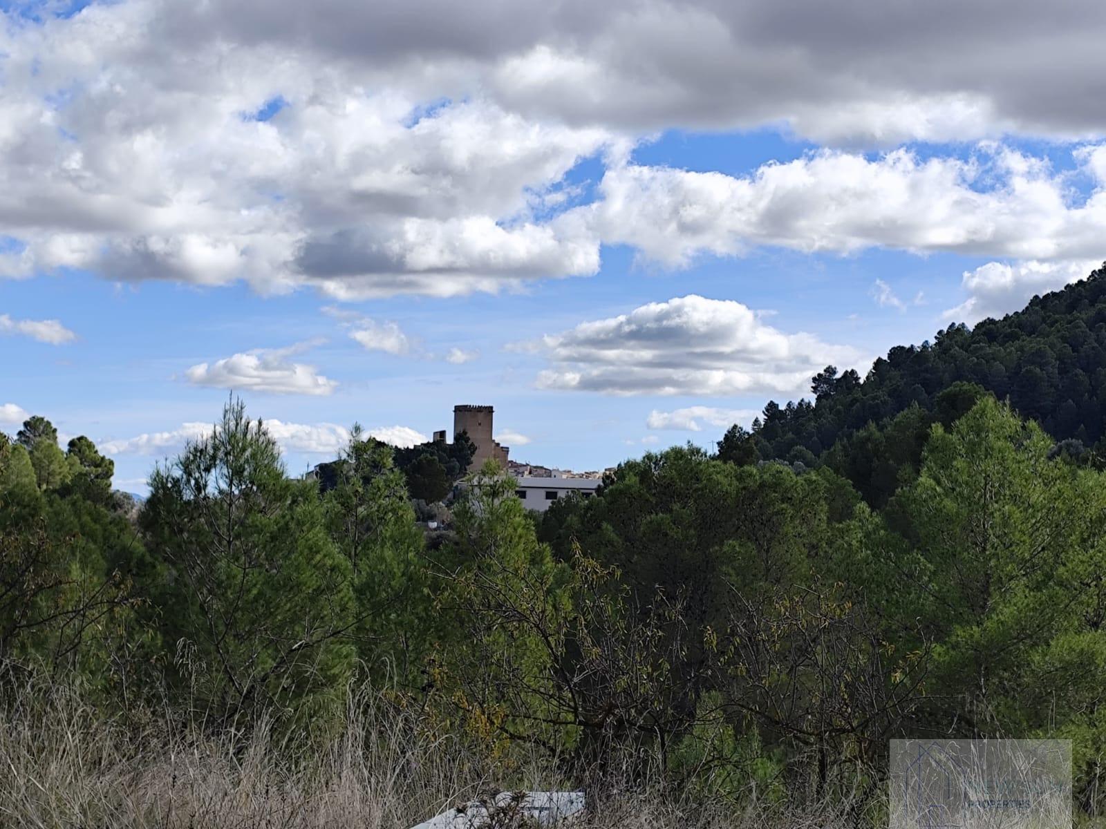 For sale of land in Moratalla