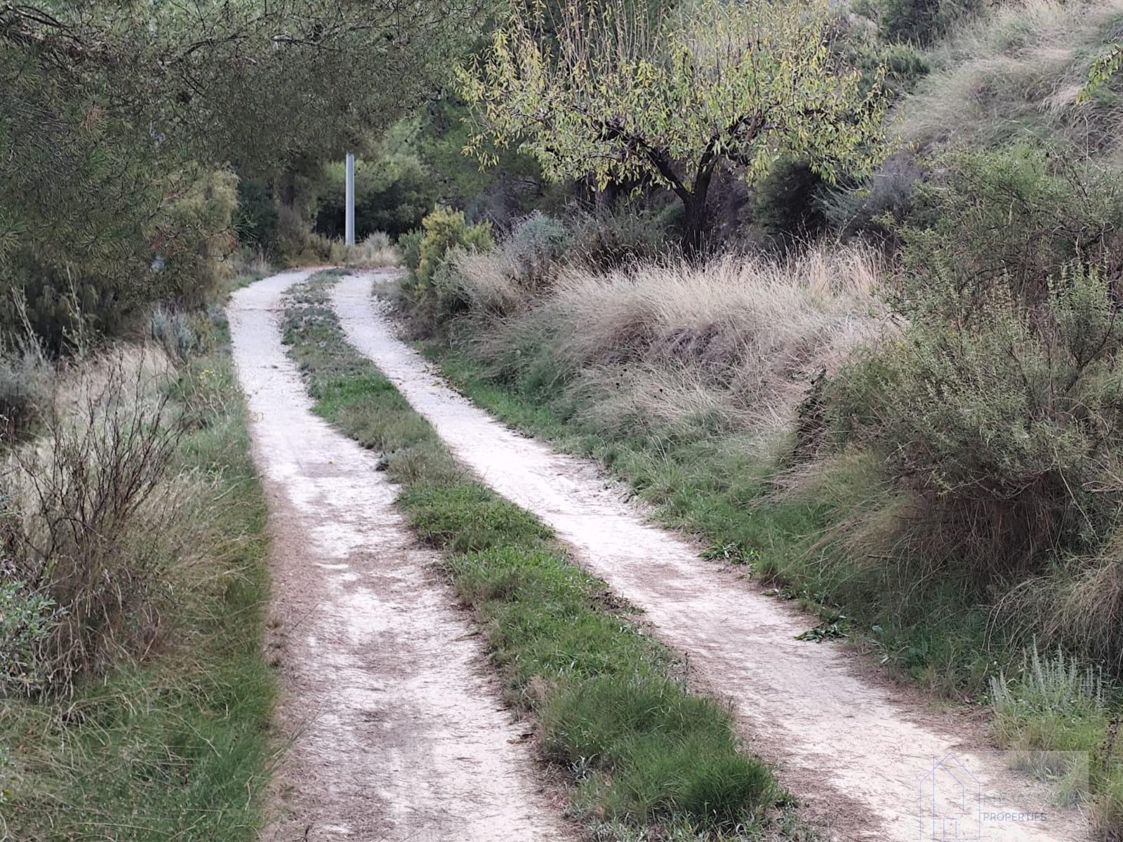 For sale of land in Moratalla