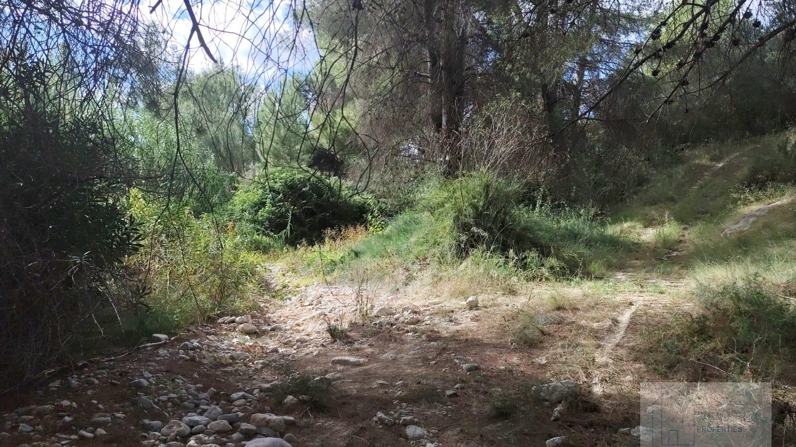 Venta de terreno en Moratalla