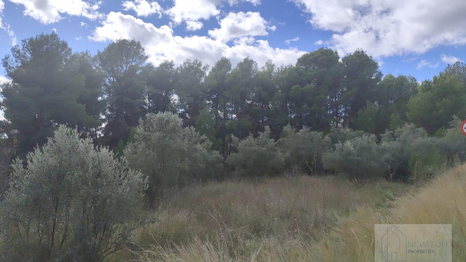 Venta de terreno en Moratalla