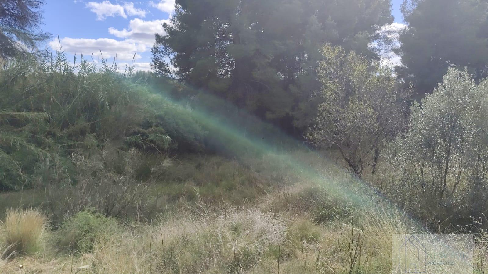 Venta de terreno en Moratalla