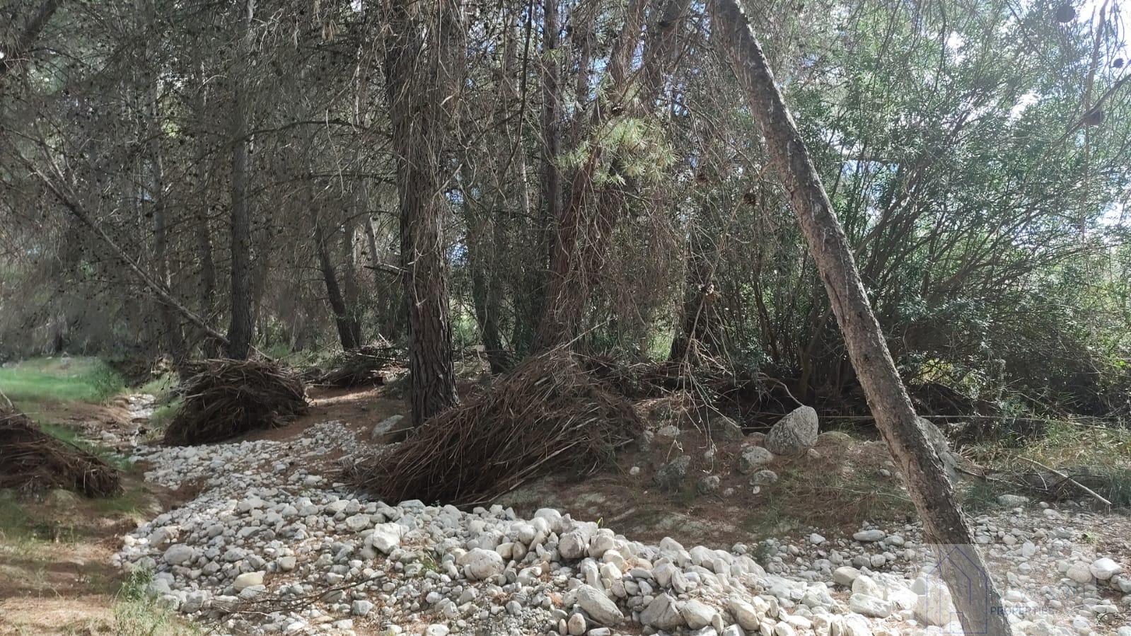 Venta de terreno en Moratalla
