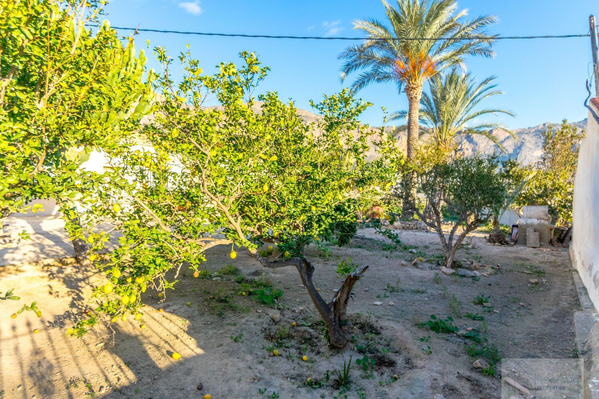 For sale of flat in Orihuela