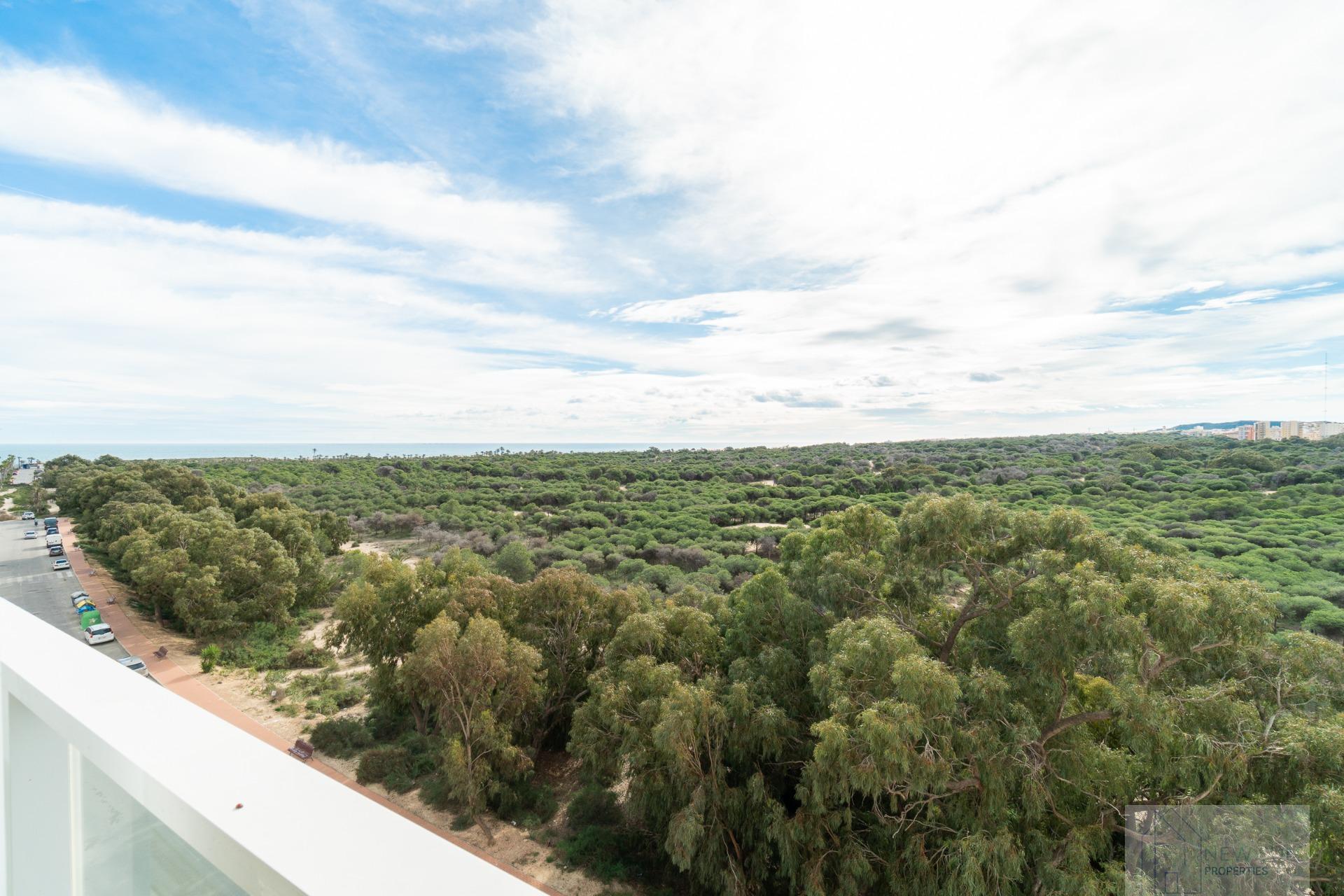 For sale of apartment in Guardamar del Segura