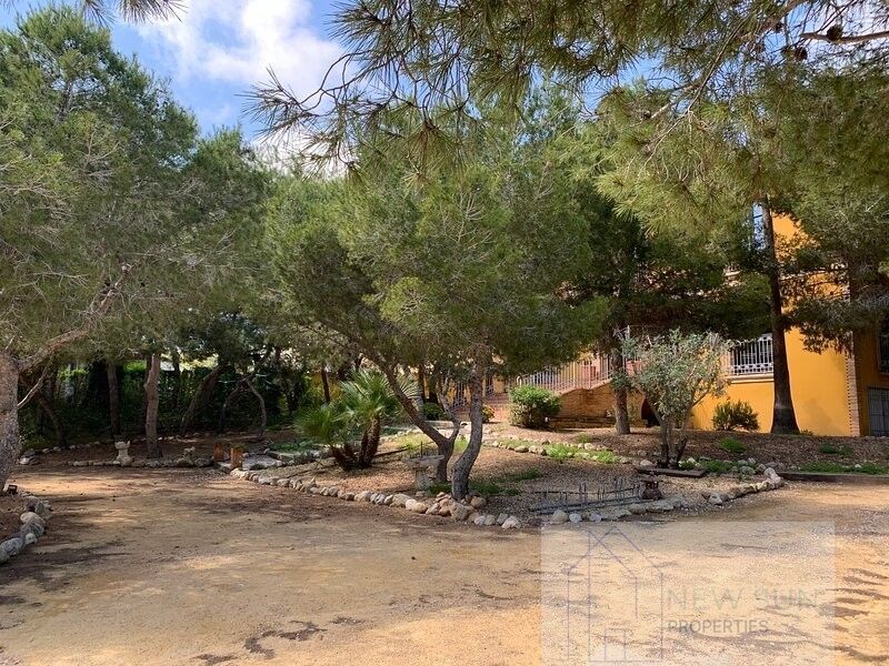 For sale of villa in Guardamar del Segura