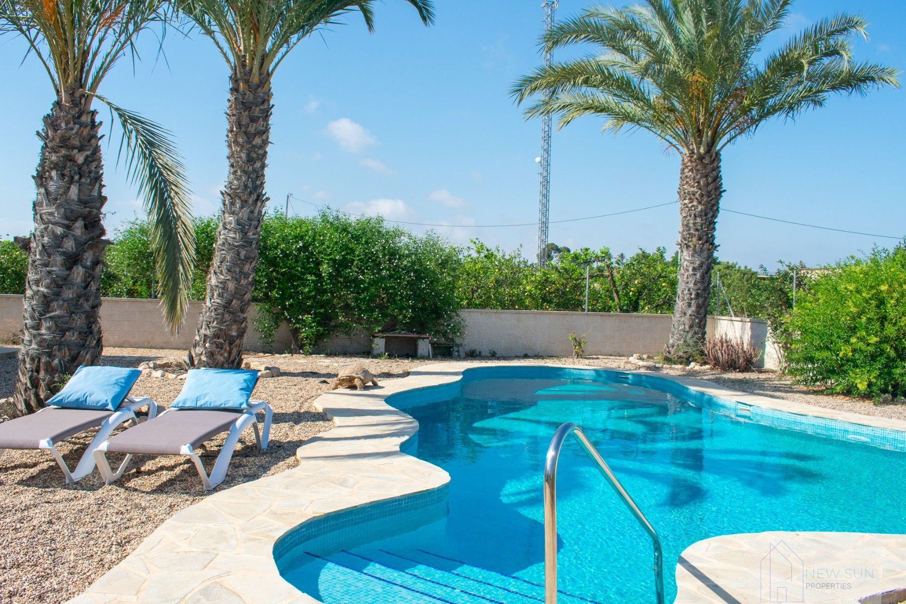 For sale of villa in Guardamar del Segura