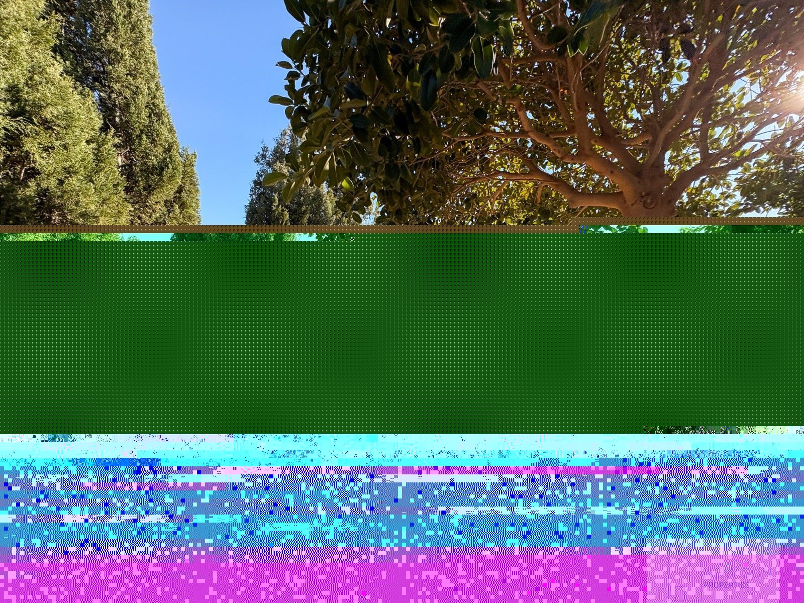 For sale of villa in Crevillent