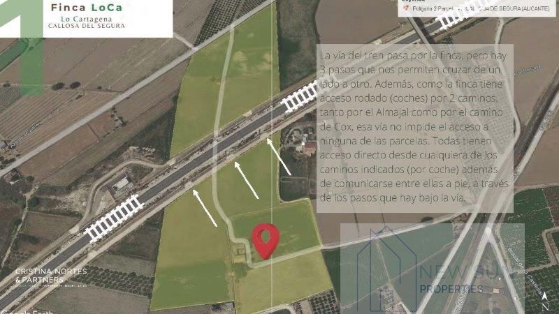 Venta de finca rústica en Callosa de Segura