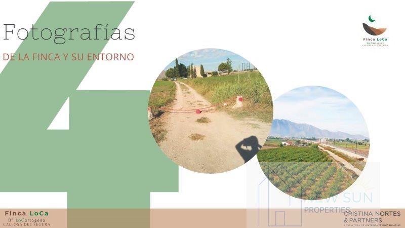 Venta de finca rústica en Callosa de Segura