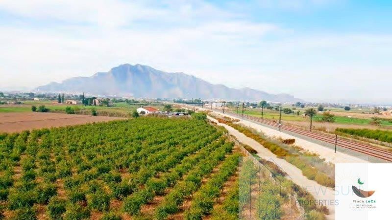 Venta de finca rústica en Callosa de Segura