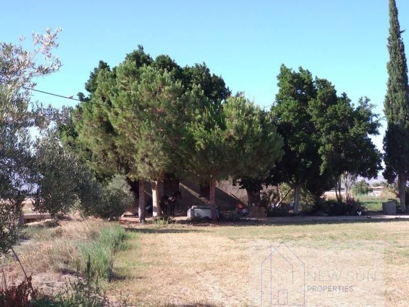 Venta de finca rústica en Callosa de Segura