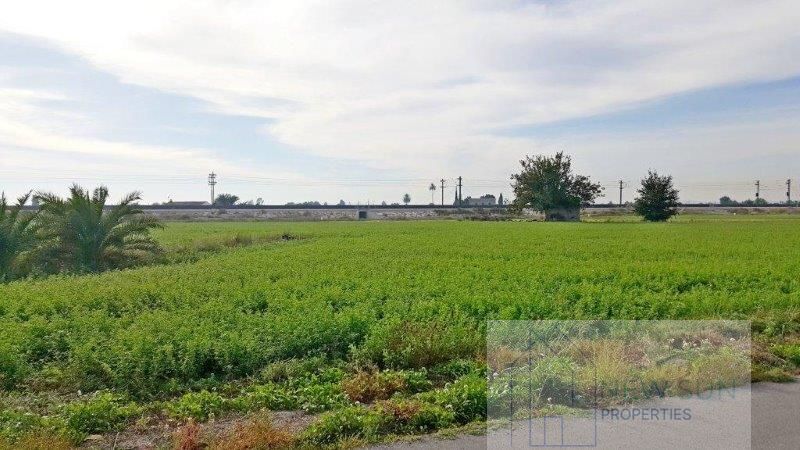 Venta de finca rústica en Callosa de Segura