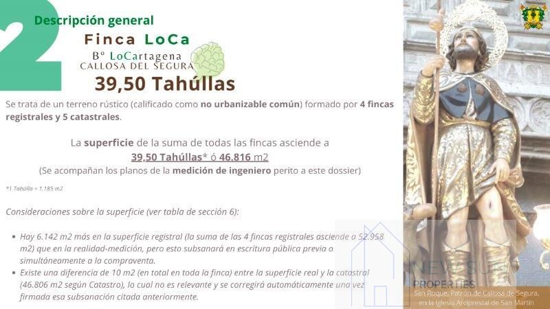 Venta de finca rústica en Callosa de Segura