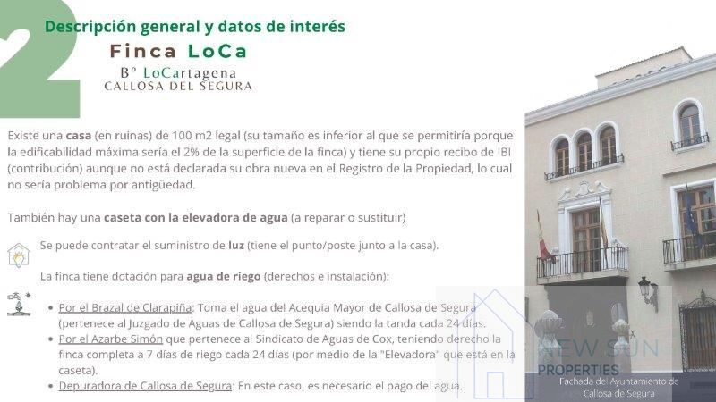 Venta de finca rústica en Callosa de Segura