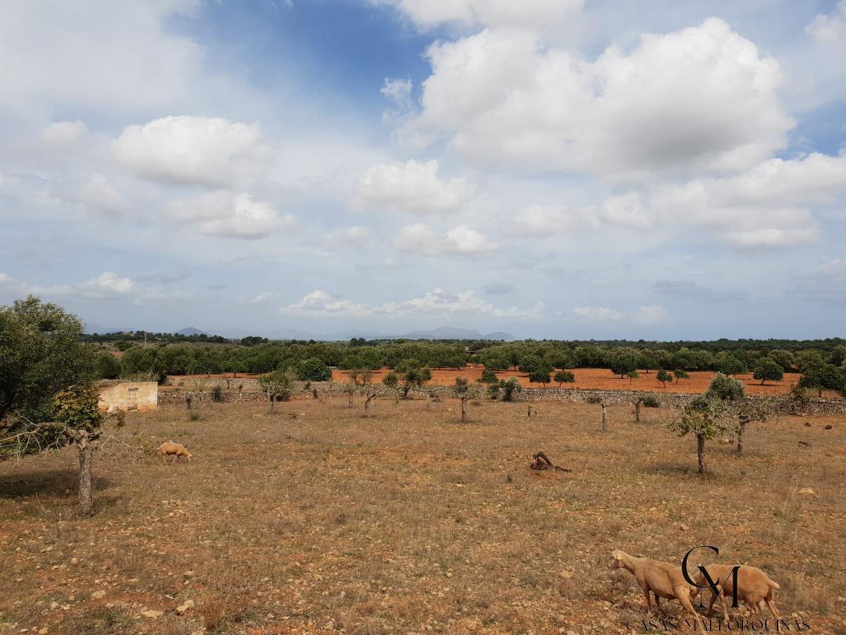 Venta de terreno en Santa Margalida