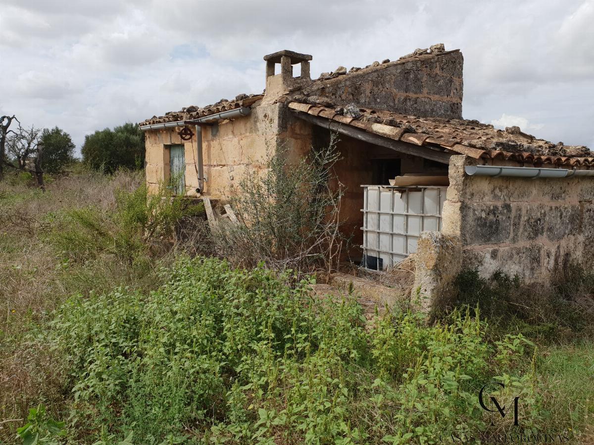 For sale of land in Santa Margalida