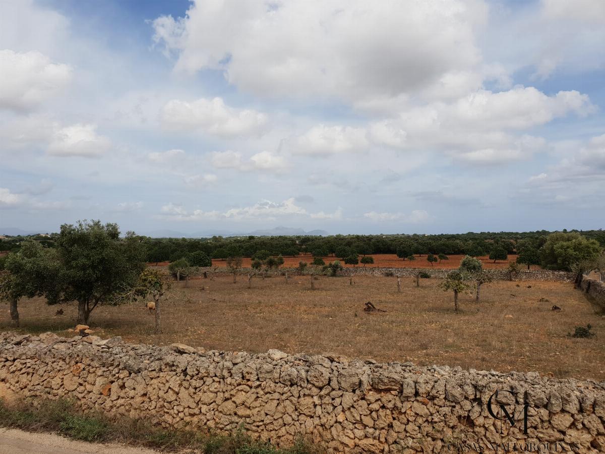 Venta de terreno en Santa Margalida
