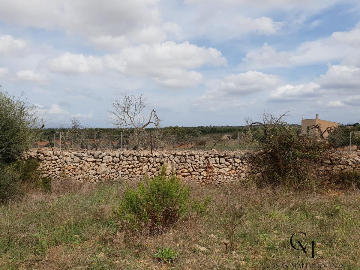 Venta de terreno en Santa Margalida