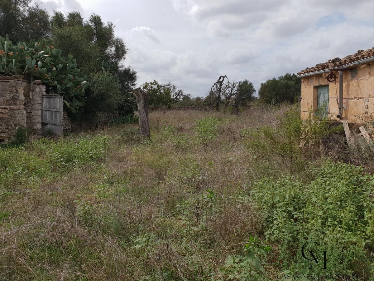Venta de terreno en Santa Margalida