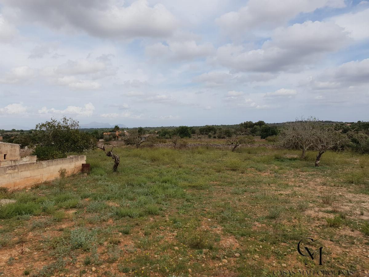 Venta de terreno en Santa Margalida