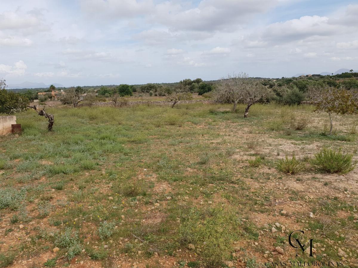 Venta de terreno en Santa Margalida