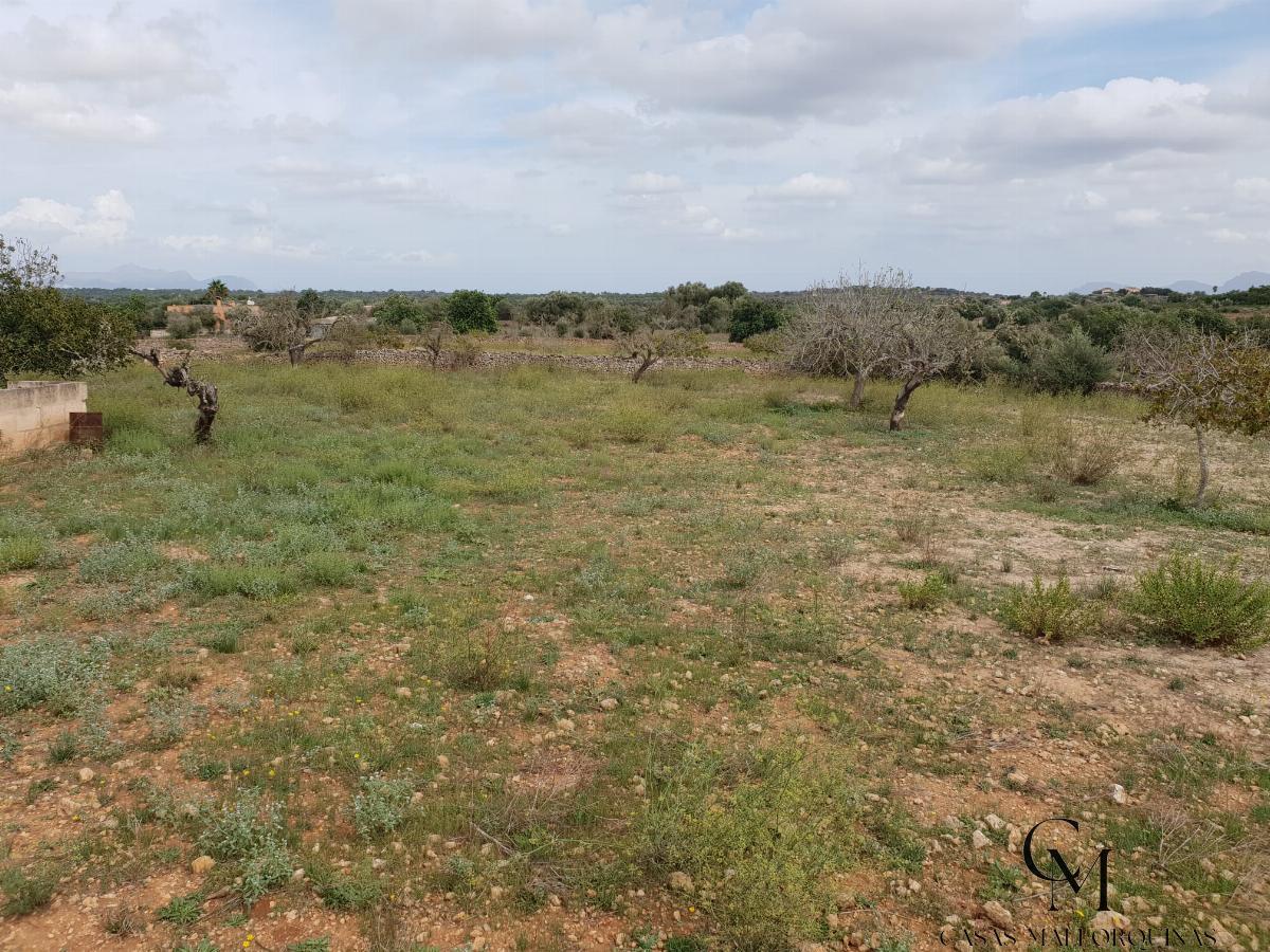 Venta de terreno en Santa Margalida