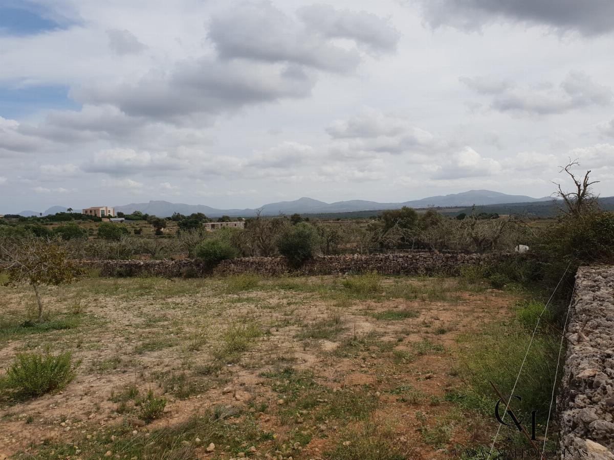 Venta de terreno en Santa Margalida