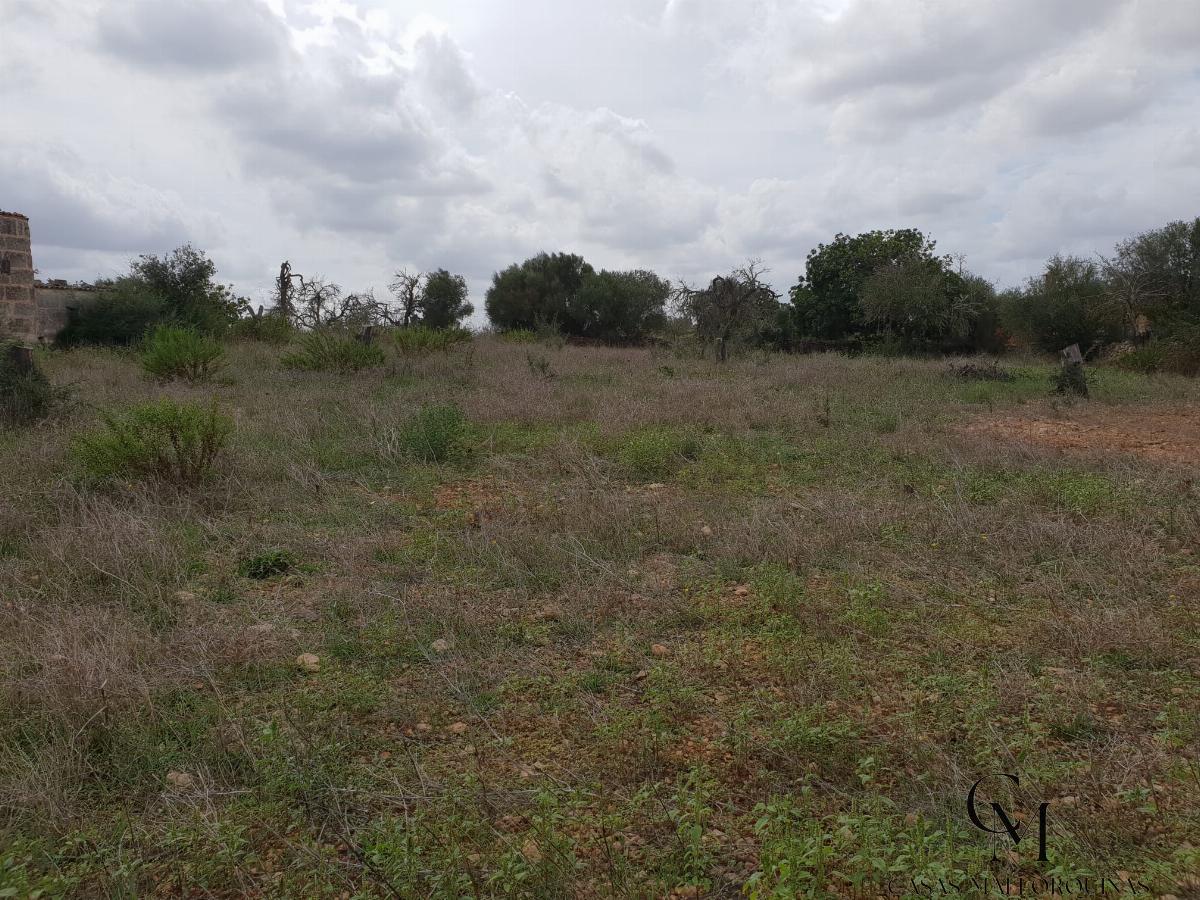 Venta de terreno en Santa Margalida