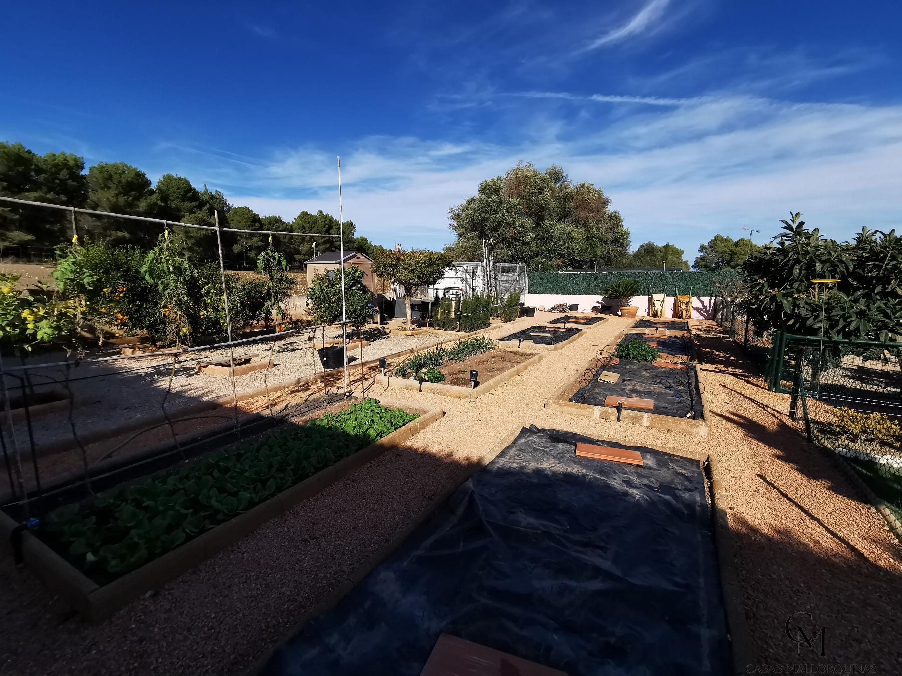 For sale of chalet in Santa Margalida