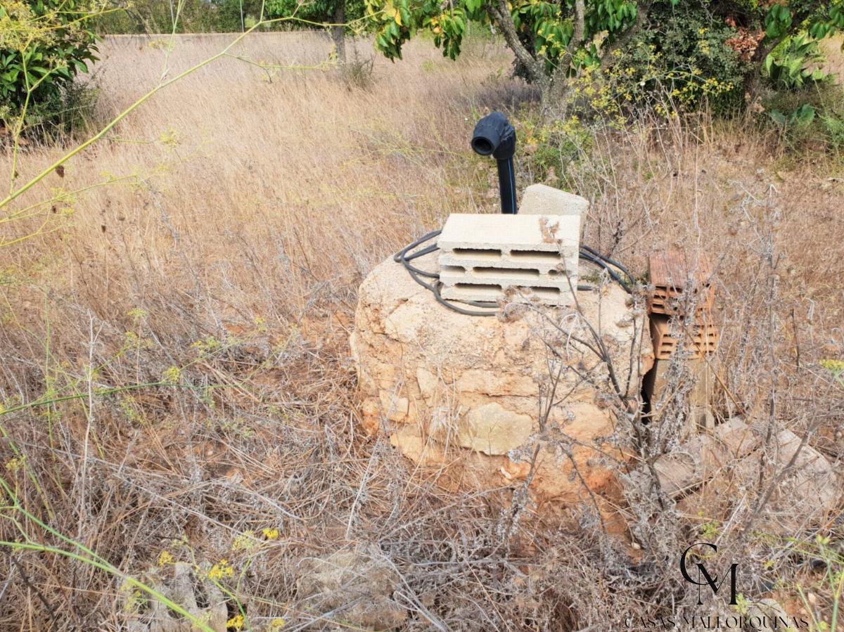 For sale of rural property in Felanitx