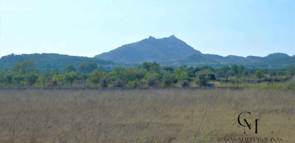 For sale of rural property in Felanitx