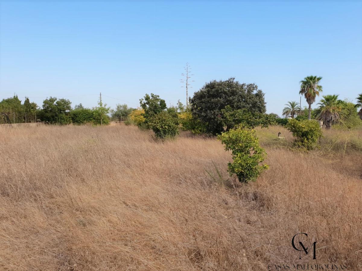 For sale of rural property in Felanitx