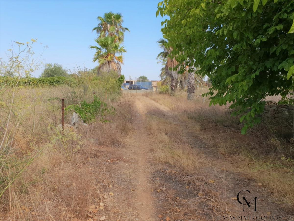 For sale of rural property in Felanitx